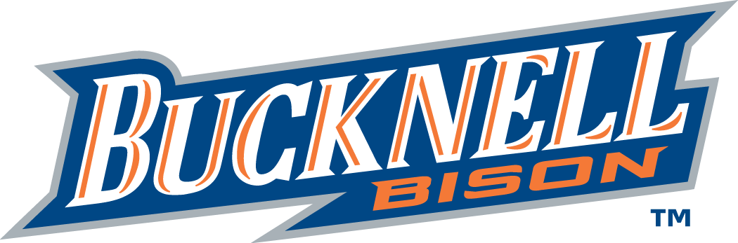 Bucknell Bison 2002-Pres Wordmark Logo v2 DIY iron on transfer (heat transfer)